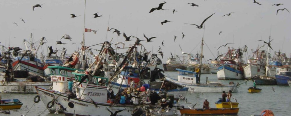 Pesca in Perù