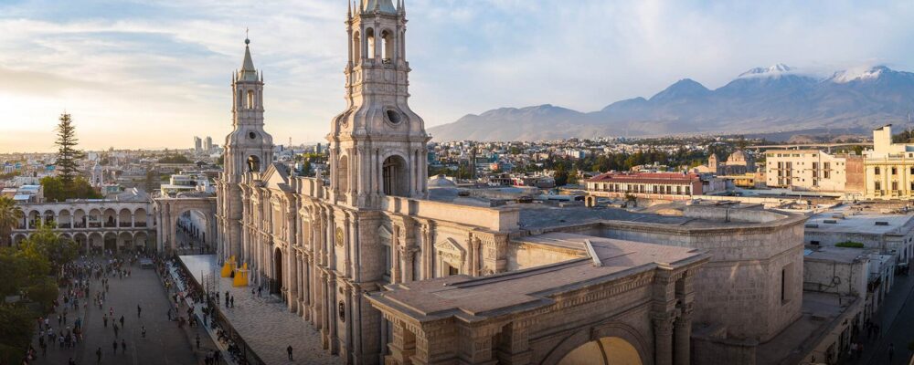 arequipa-cat