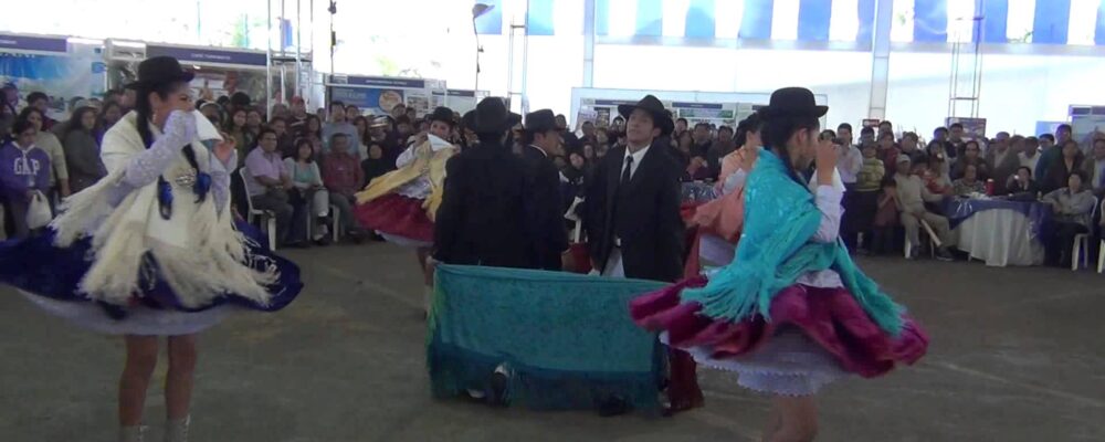 pandillera danza puno