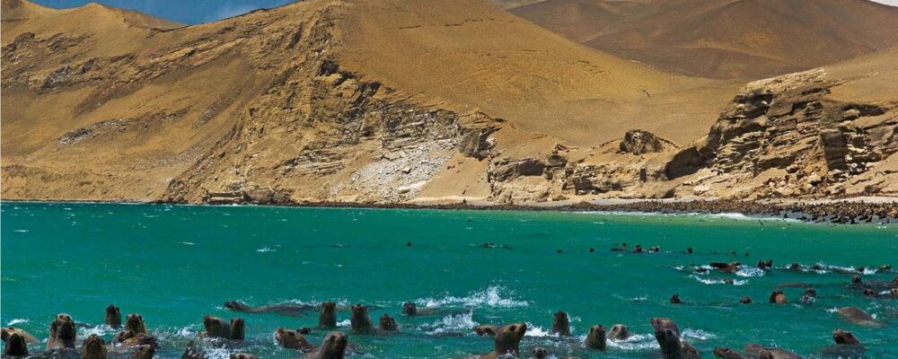 paracas-a